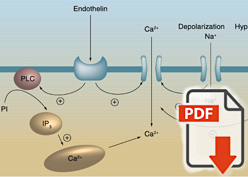 Calcium channel blockers: their use in normal tension glaucoma
