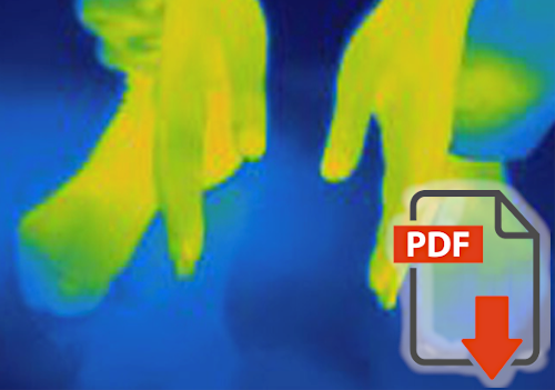 Diseases associated with Flammer Syndrome: An Update